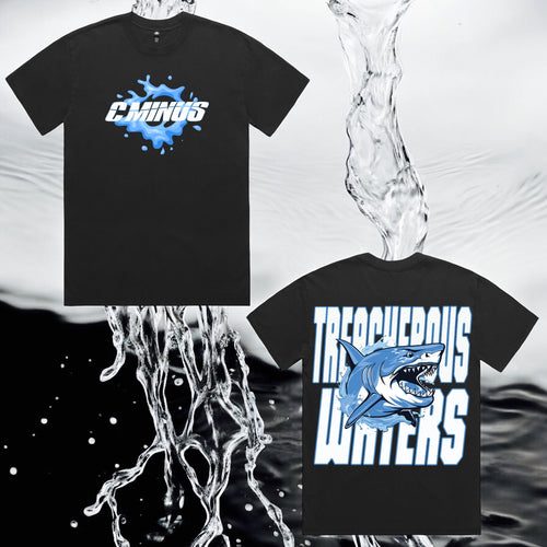 Treacherous Waters