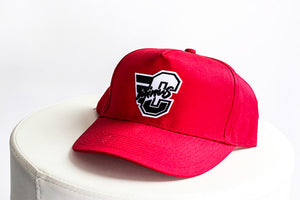 The SnapBack